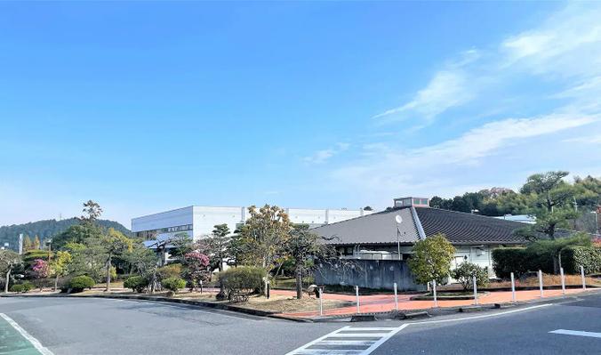 Line of Enju trees