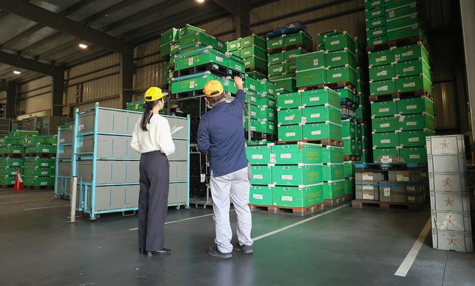 Green containers stacked close to the ceiling of the warehouse are designed not to collapse even in an earthquake.